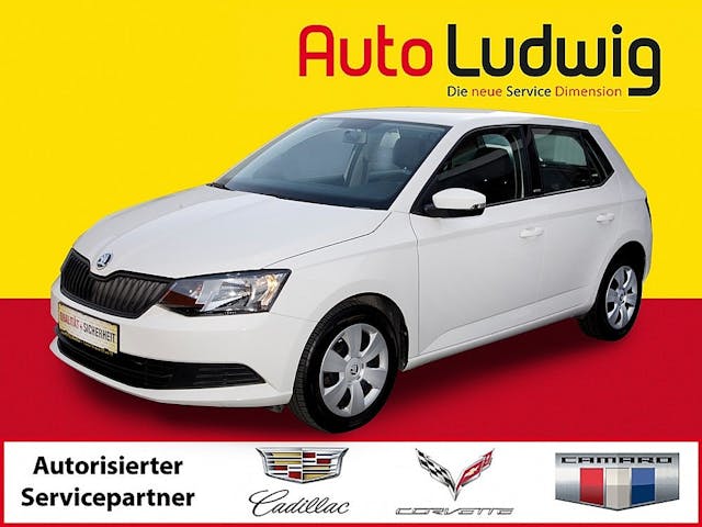 Skoda Fabia Joy 1,0 bei AutoLudwig GMBH in 3x in 1230 Wien | US-Neuwagen (CADILLAC, CORVETTE, CHEVROLET, DODGE, RAM) | Multimarken Gebrauchtwagenhandel | KFZ Werkstatt mit Bosch Service